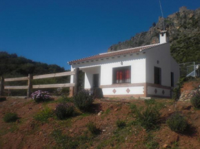 La Solana de turón. La coscoja., Ardales